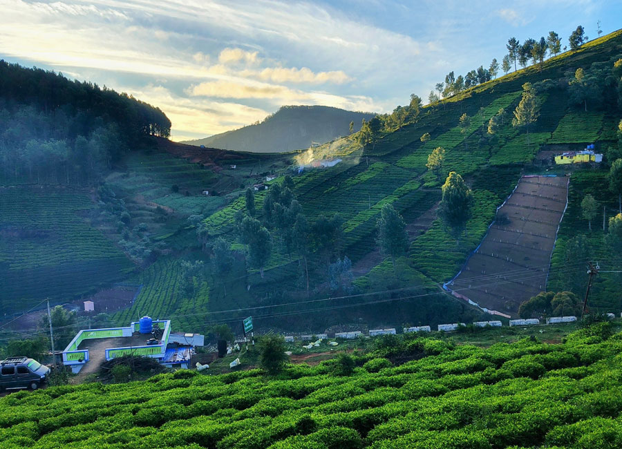 Evening light over the Nilgiri hills
